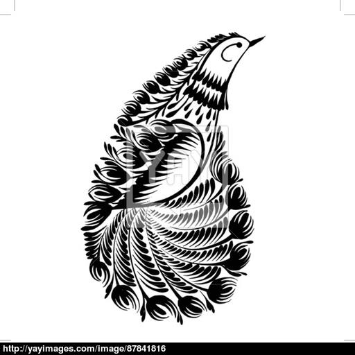 Bird Of Paradise Vector at GetDrawings | Free download