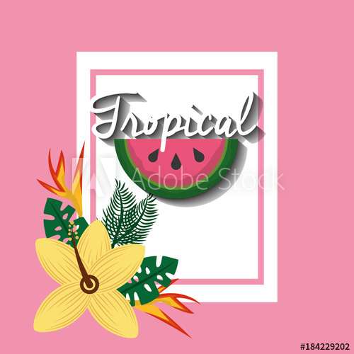 500x500 Tropical Watermelon Fruit Hibiscus And Bird Of Paradise Vector