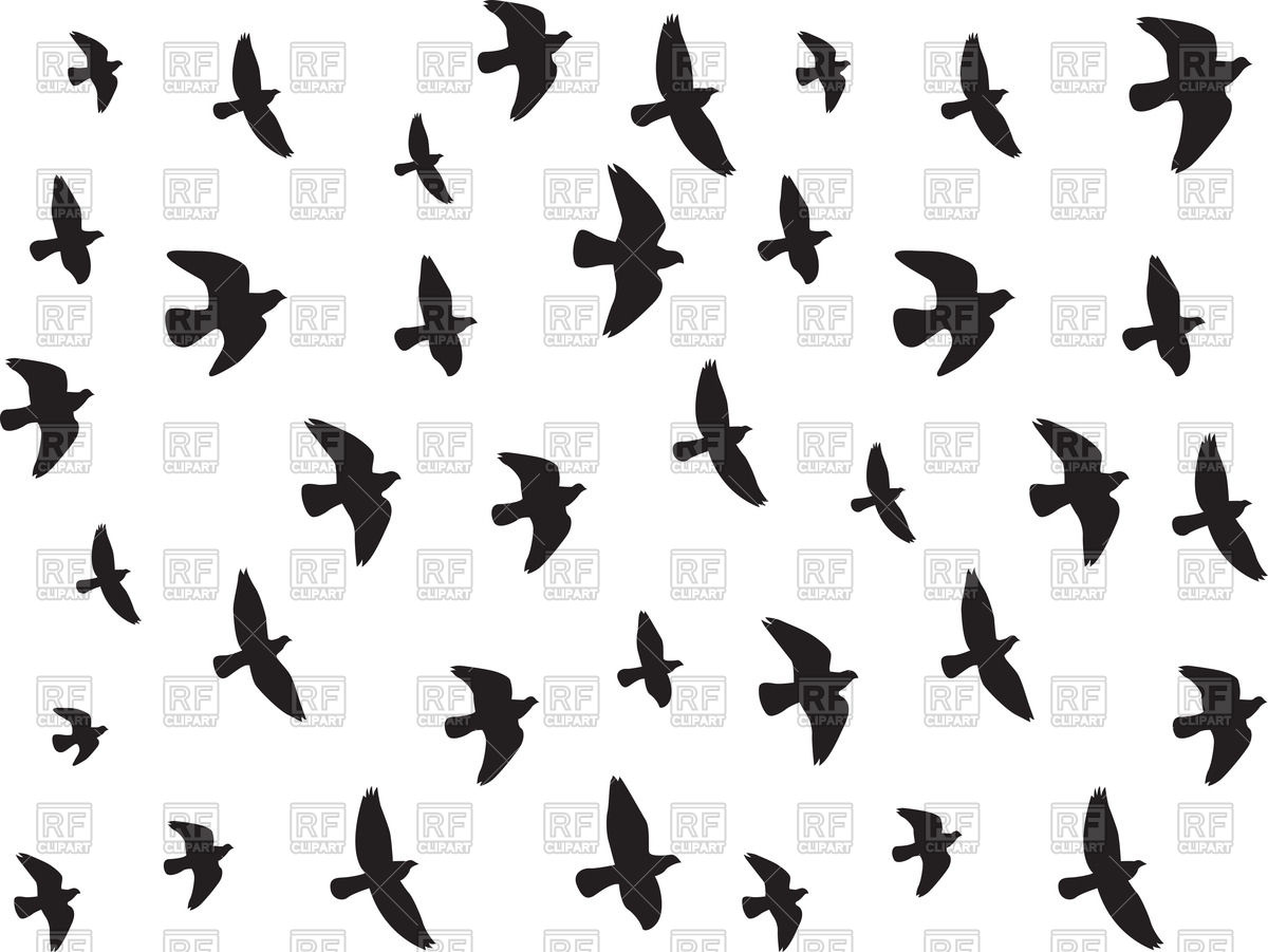 1200x901 Flying Birds Silhouettes Vector Image Vector Artwork Of