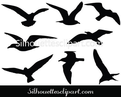 480x384 Seagulls Flying Vector Graphics Download Bird Vector Silhouettes