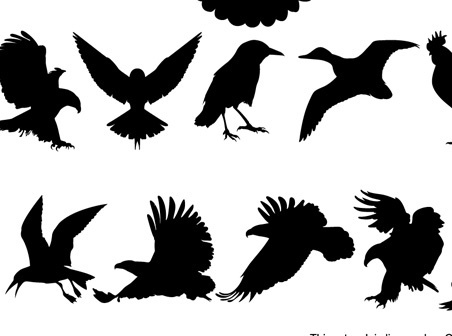 452x336 Vector Bird Cdr Free Vector Download (4,320 Free Vector) For