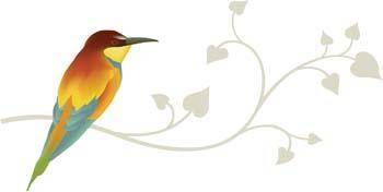 350x176 Bird 69 Free Vector 4vector