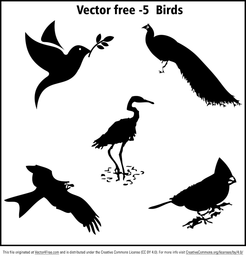 829x869 Free Birds Vector Graphics
