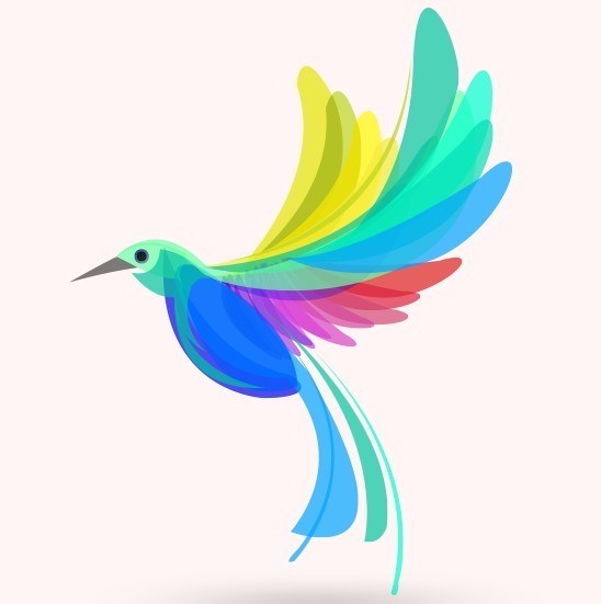 548x551 Free Colorful Summer Bird Vector Illustration