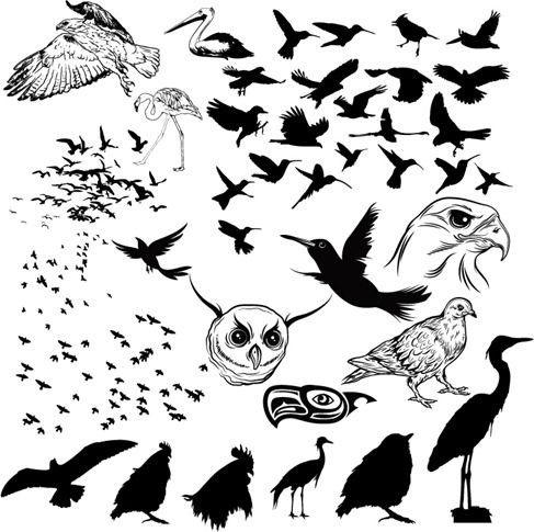 487x485 Vector Birds Silhouettes Bird, Bird