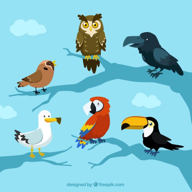 626x626 Cartoon Cute Bird Vector Material Vector Free Vector Download In