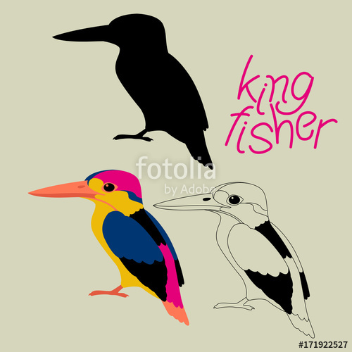 500x500 Kingfisher Bird Vector Illustration Black Silhouette Line Drawing
