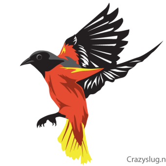 340x340 Bird Icon Free Vector 123freevectors