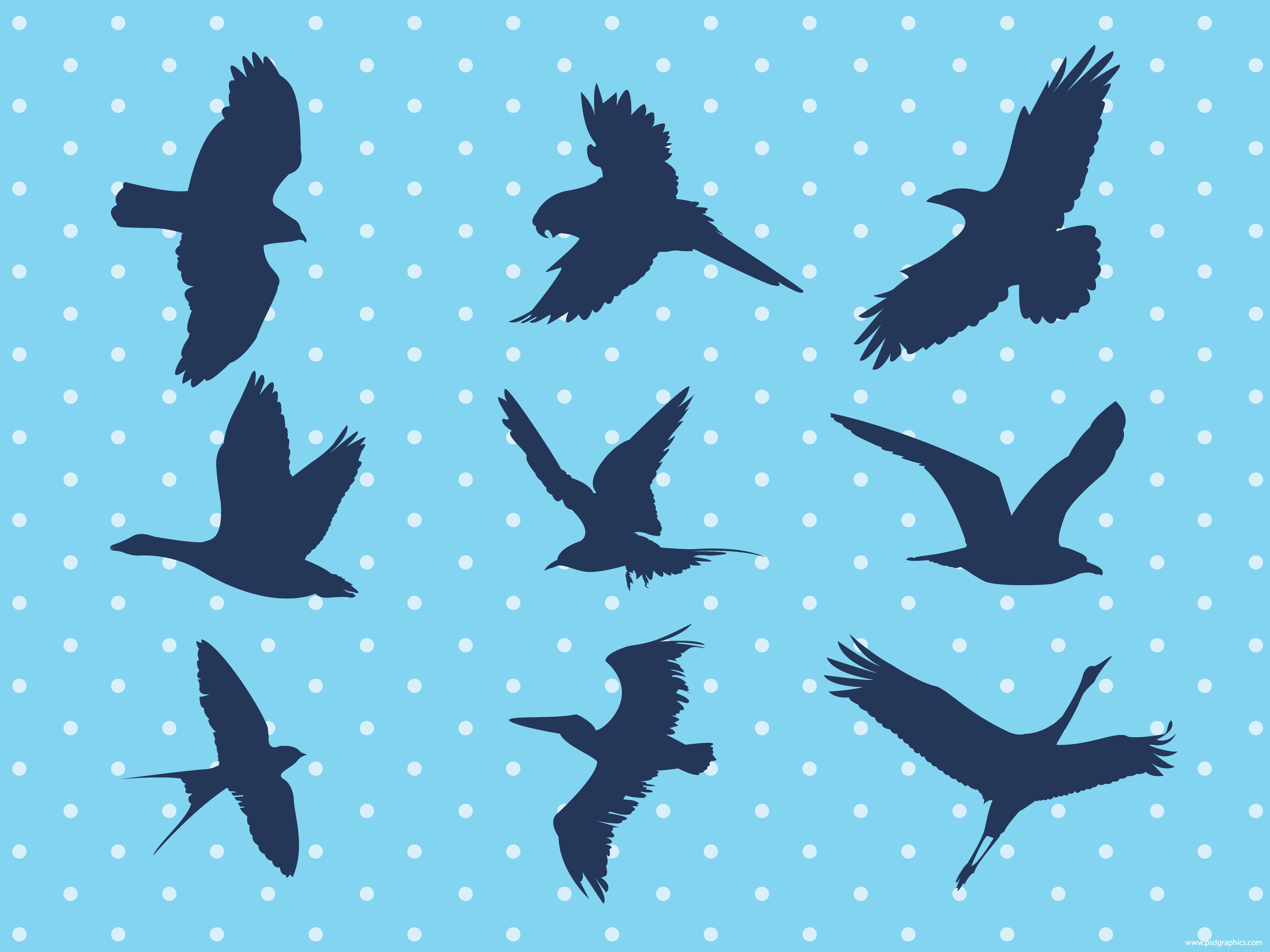5000x3750 Flying Birds Vector (Ai) Psdgraphics