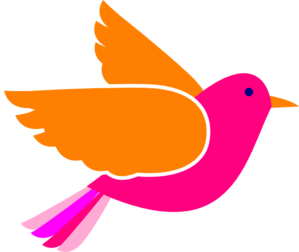 299x252 Parrot Vector