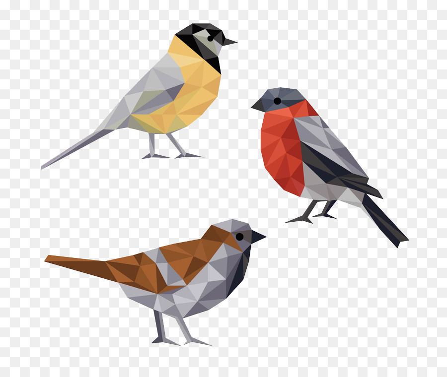 900x760 Polygon Euclidean Vector Geometry Face