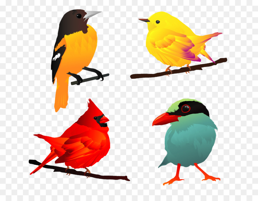 900x700 Bird Clip Art