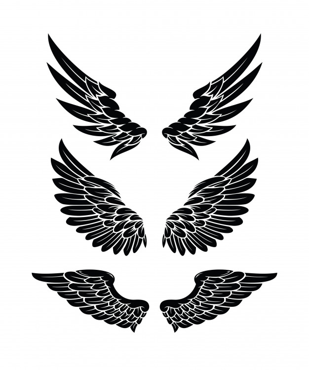 626x750 Free Vector Wings