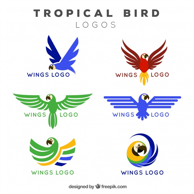 626x626 Logos Of Tropical Bird Wings Vector Free Download