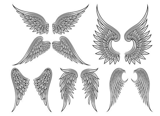 550x400 Page 1 Bird Wings On Curated Vector Illustrations, Stock Royalty