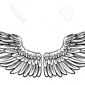 300x300 Photostock Vector Gold Bird Wings Vector Logo Vector Golden Angel