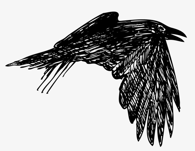 650x504 Swift Of Wings Of Birds, Wings Vector, Crow, Flying The Crows Png