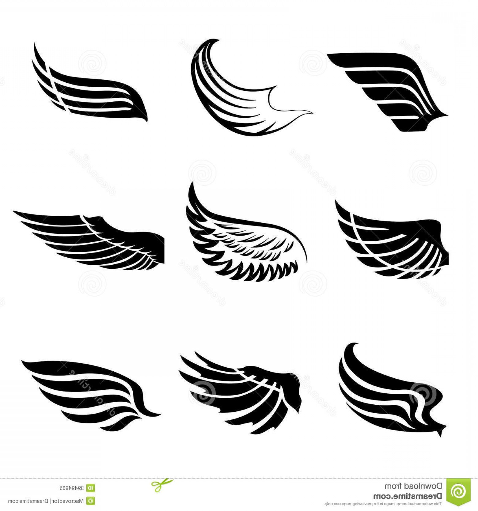 1560x1668 Wing Vector Illustration Lazttweet