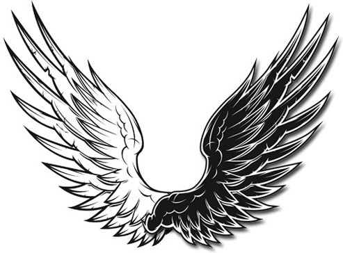 493x364 Wings Free Vector Download (1,009 Free Vector) For Commercial Use