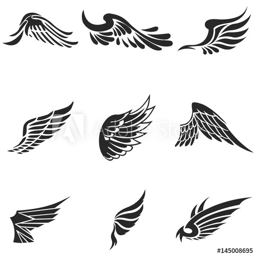 Bird Wings Vector at GetDrawings | Free download