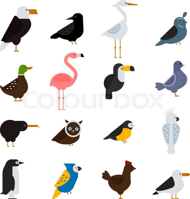 764x800 Birds Vector Set. Birds Illustration. Egle And Parrot. Pigeon And