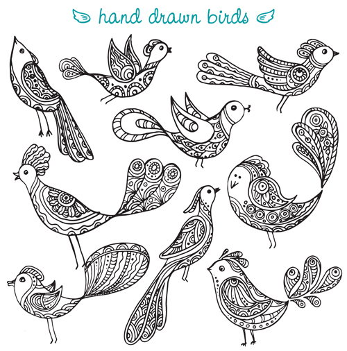 500x506 Hand Drawn Birds Vector Set Free Download
