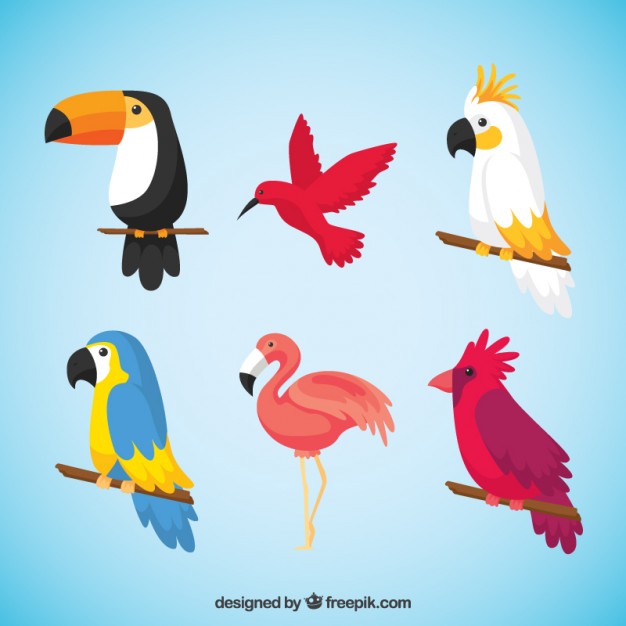 Birds Vector Images at GetDrawings | Free download