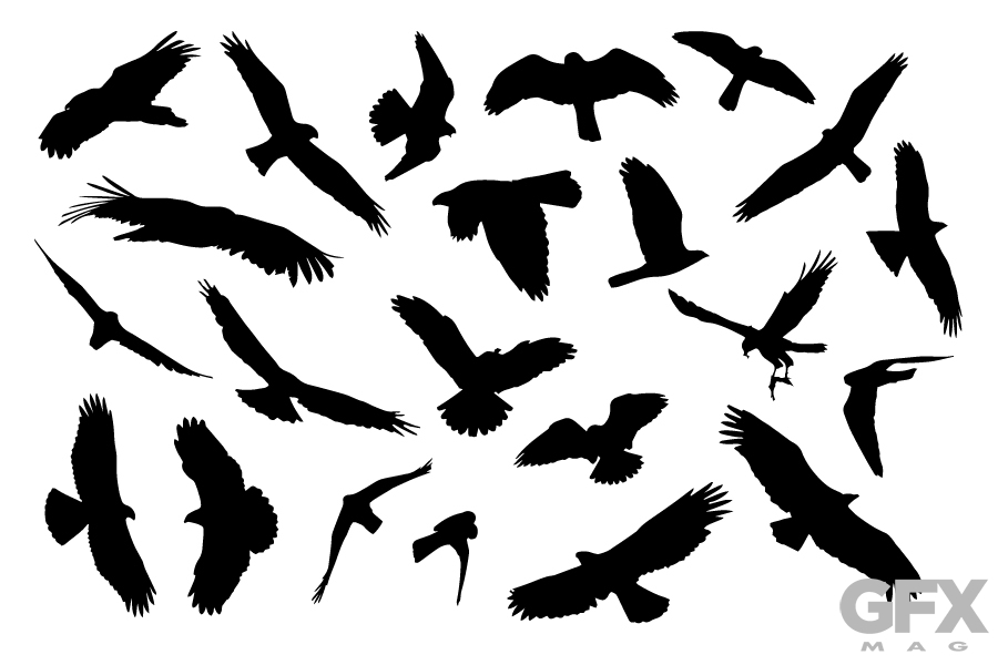 900x600 Wild Birds Vector Silhouette Clip Art Free Download Vector Logos