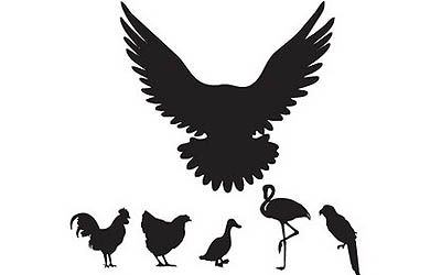 400x250 Birds Vector 15 An Images Hub