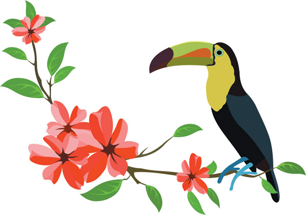 600x421 Birds Vector 17 An Images Hub