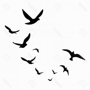 300x300 Be Free Text Flying Birds Vector Sohadacouri