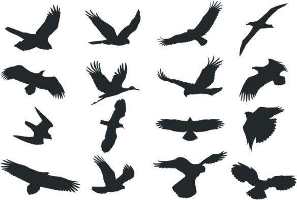 584x394 Bird Free Vector Download (2,737 Free Vector) For Commercial Use
