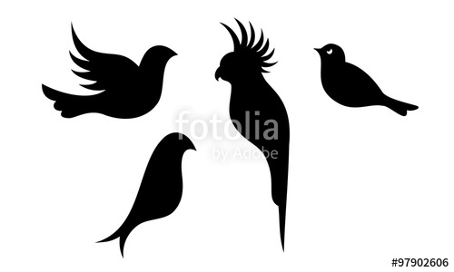 500x300 Birds Vector Silhouette Stock Image And Royalty Free Vector Files