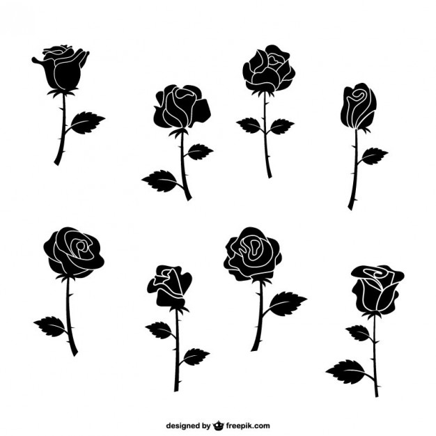 626x626 Roses Vectors, Photos And Psd Files Free Download