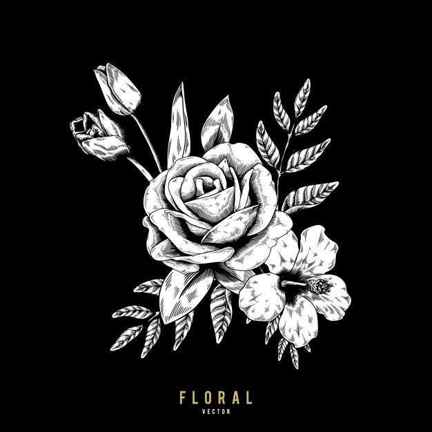 626x626 Black Rose Vectors, Photos And Psd Files Free Download