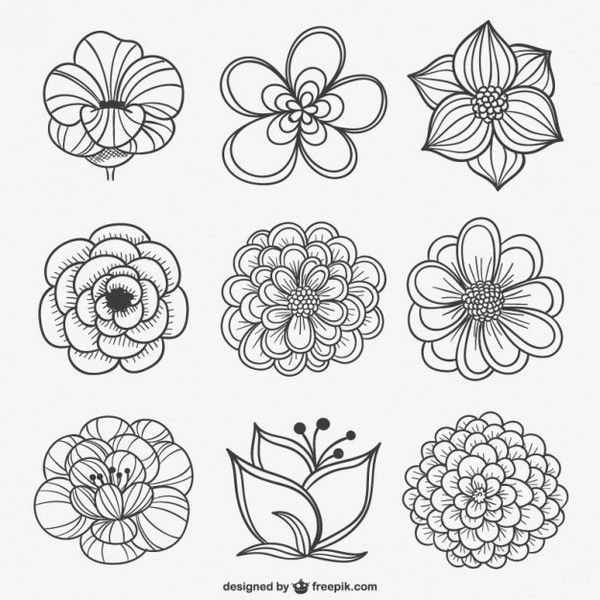 600x600 21 Black And White Flowers Clipart Vectors Download Free Vector