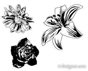 300x240 4 Designer Black And White Flowers Vector Material
