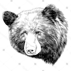 300x300 Black And White Walking Polar Bear In Profile Sohadacouri