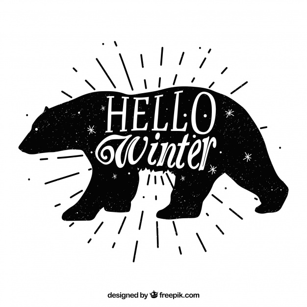 626x626 Black Bear Vectors, Photos And Psd Files Free Download