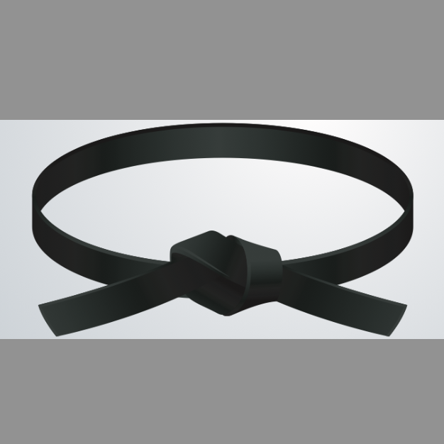 626x626 Black Belt Blindness, And Other Dangers.