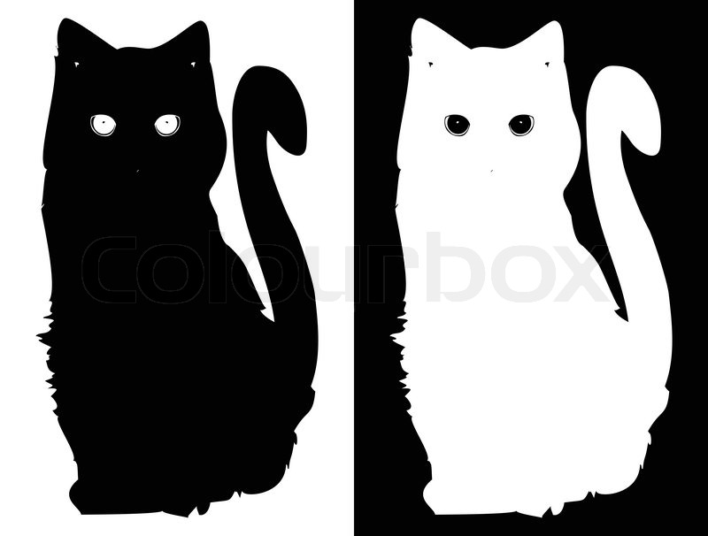 800x606 White And Black Cats Vector Background Stock Vector Colourbox