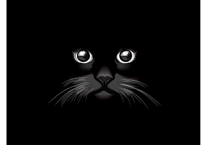 700x490 Black Cat Vector