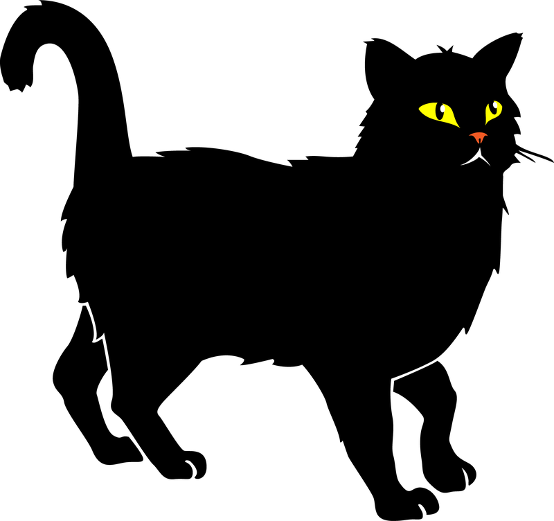 800x752 Black Cat Vector