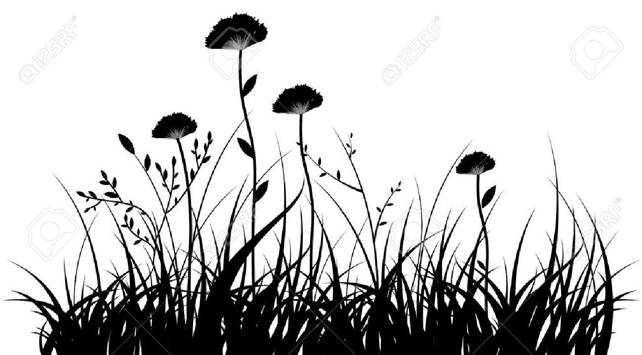 1300x718 Black Silhouette Of A Grass And Flowers On A White Background
