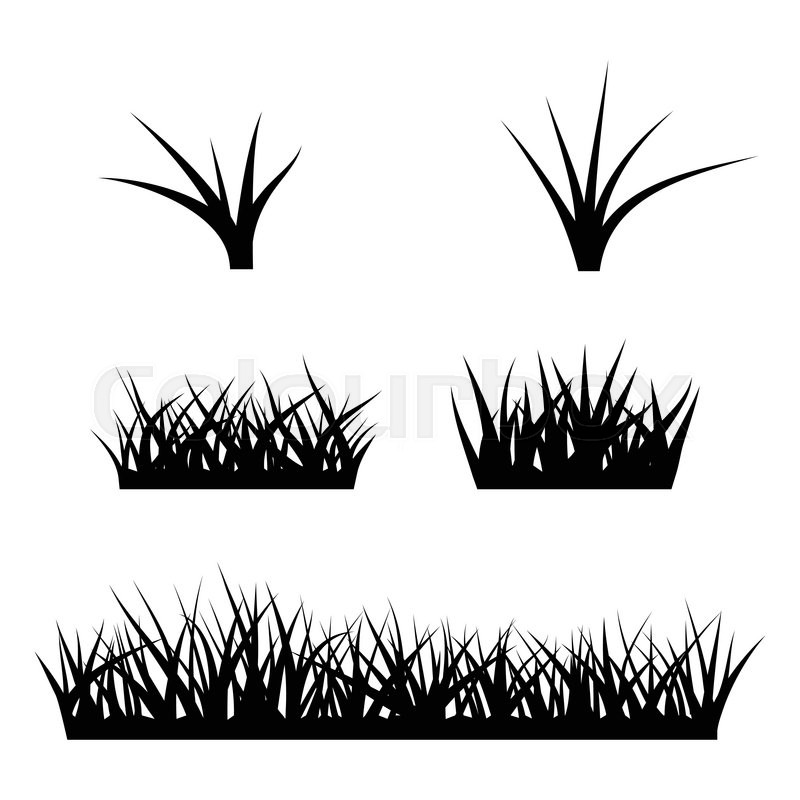800x800 Black Silhouette Of Grass Stock Vector Colourbox