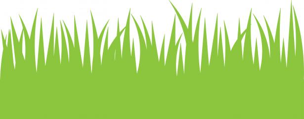 615x242 Blade Clipart Grass Vector