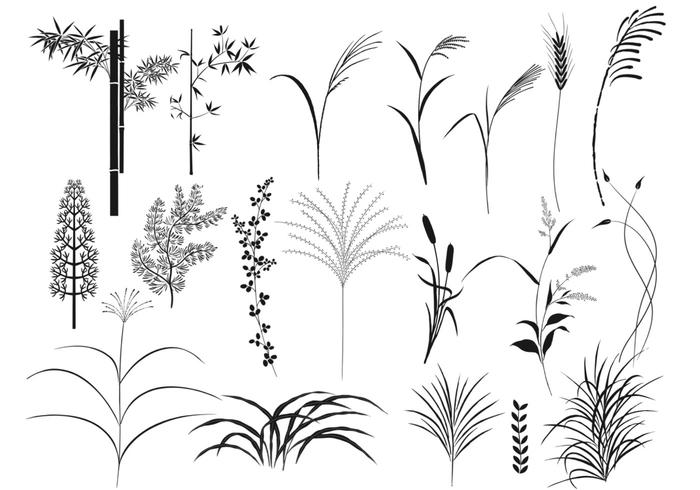 700x490 Reeds And Grass Vector Pack
