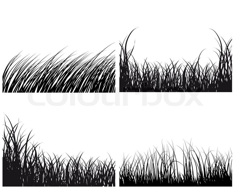 800x640 Set Of Four Vector Grass Silhouettes Backgrounds Stock Vector
