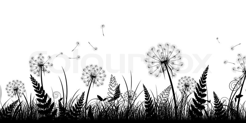 800x400 Summer Field With Grass And Dandelions In Black And White Stock