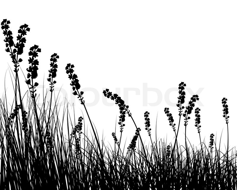 800x640 Vector Grass Silhouettes Background For Design Use Stock Vector
